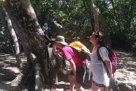 Observação de vida selvagem no Parque Nacional Cahuita