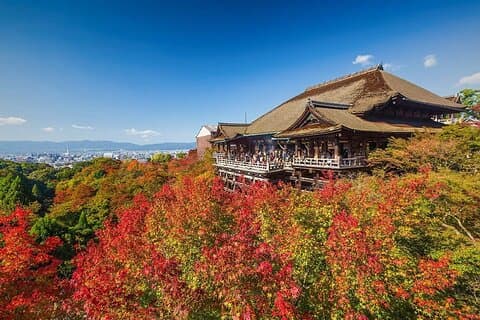 Kansai gedeelde dagtour in het Fushimi Inari-heiligdom en Kiyomizudera