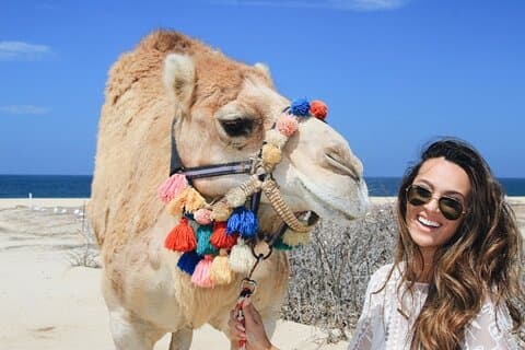 Hoteller i nærheden af Cabo Camel Ride: Beach Safari