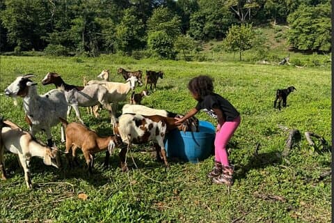 Vie à la ferme jamaïcaine, Expérience de plage locale - Pour la famille