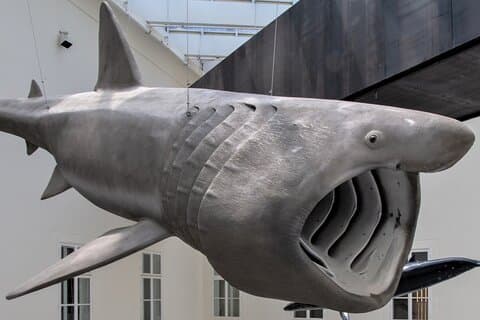 Visite à pied du musée des sciences de Zagreb