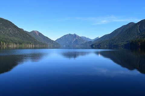 From Seattle Rainforest and Olympic National Park Highlight