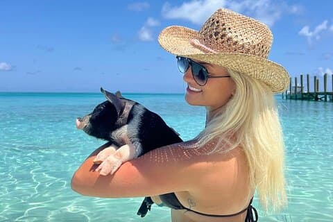 Rose Island Swimming Pigs & Beach Snorkeling Experience Nassau.