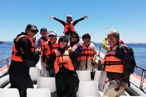Chiloe Insel - Puñihuil Tour