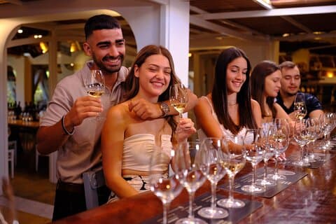 Privat vinresa i Santorini - Grekland