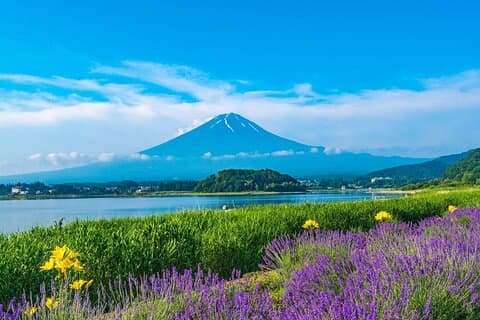Vues sur le mont Fuji, cueillette de fruits et visite d'une journée à Ropeway Experience