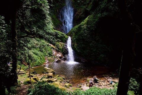 En dag Nyungwe Canopy gångväg, Zipline och Ndambarare vattenfall