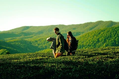 Heldags Cameron Highlands Nature Tour (privat)