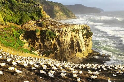 12 Day New Zealand Private Tour from Auckland to Queenstown