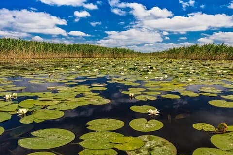 Dagtrip naar het hart van de Donaudelta: PREMIUM TOUR kleine groep