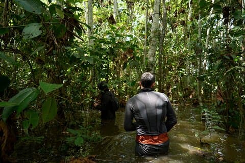 Iquitos: Tour di avventura e spedizione Amazon | 3 giorni