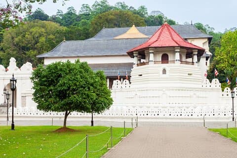 Komplet Sri Lanka Experience 20 dages privat tur