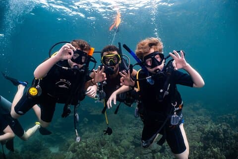 Scuba Diving in muscat