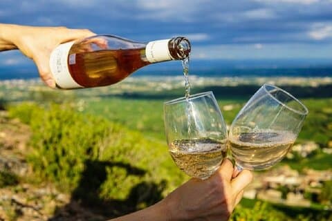 Excursões de meio dia West Kelowna Wine Tours