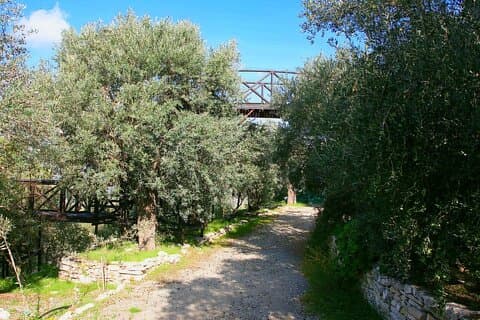 Shore Excursion Olive Farm, Lefkara & Limassol