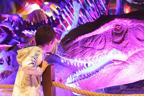 Allgemeiner Eintritt in das Pangaea Land der Dinosaurier