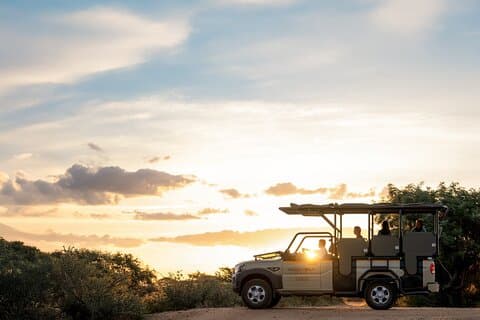 Safari privé d'une journée dans le parc national Kruger