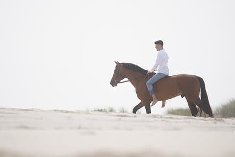 Beach Horseback Riding Adventure