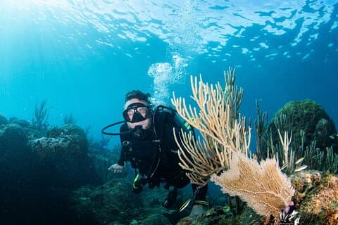 Experience Scuba