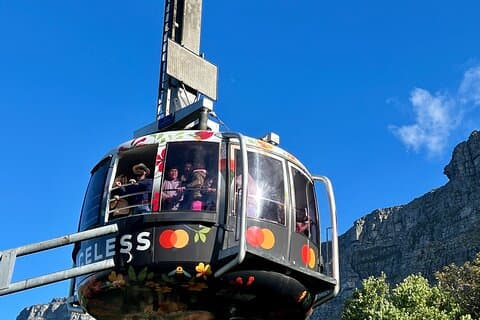 Kaapstad Tafelberg Cape Point Penguins Privétour van een hele dag