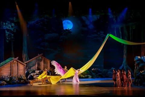 Experiencia Ao Dai Show Ticket en Da Nang