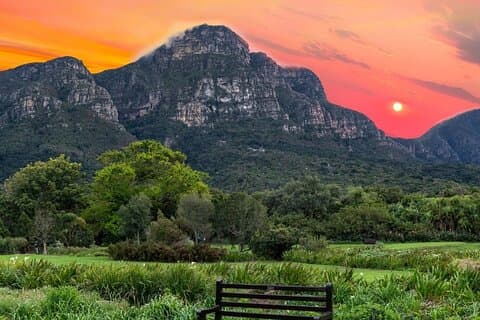 Paseo por los jardines de Kirstenbosch