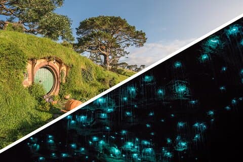 Auckland to Rotorua, Hobbiton and Waitomo 1 Way Small Group Tour