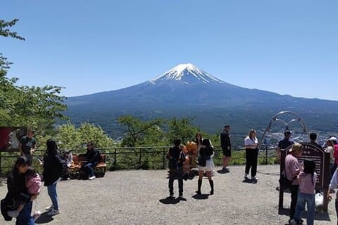 Lake Kawaguchi, Fuji Oishi Hana Terrace Guided Tour-Van