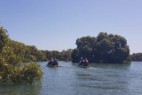 Guided Kayak Adventure Tour 3hrs options please check the website