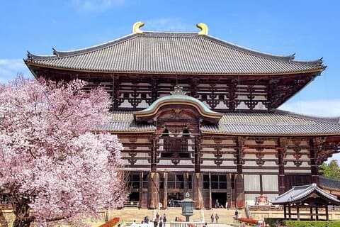 Osaka / Kyoto: Todai-ji, Nara Park, Fushimi Inari e Byodo-in