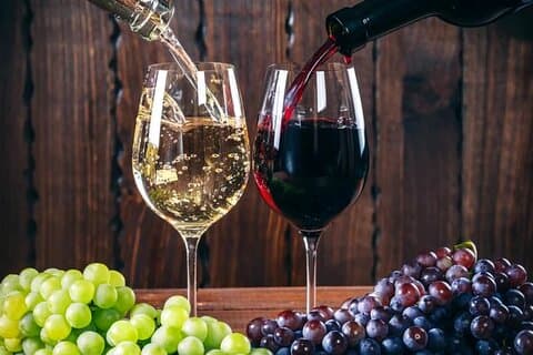 Mineração de sal em Prahova e degustação de vinhos: PREMIUM TOUR pequeno grupo