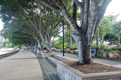 Brisbane Zuid-Queensland speurtochten