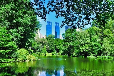 Anmeldelse af New York Kids Quest: Family Walking Adventure