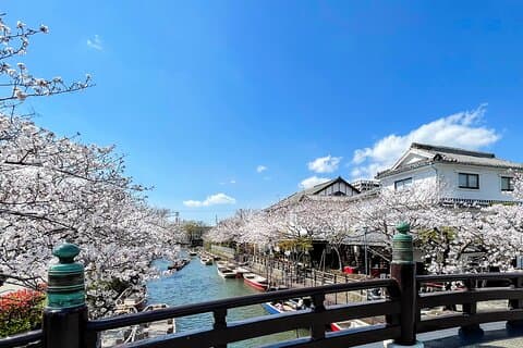 Croisière sur le fleuve Yanagawa Excursion en bateau traditionnelle (promenade partagée)