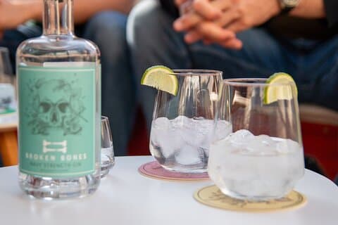 Ljubljana Gin Tasting båttur