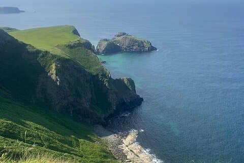 Giant's Causeway og Antrim Coast Privat tur fra Belfast