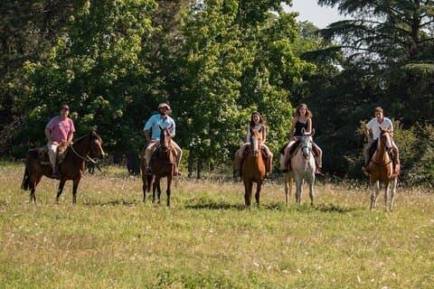 Feldtag auf der Agropasión-Ranch