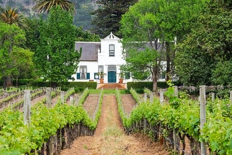 Ontkurk de Kaap: Stellenboch Halve Dag Wijn Tour