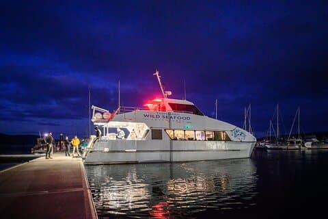 Sea to Sky Dark Sky Cruise opplevelse i Tasmania