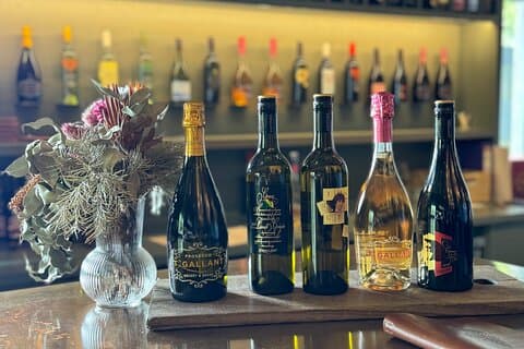 Melbourne: Tour privati della penisola di Mornington e della cantina.