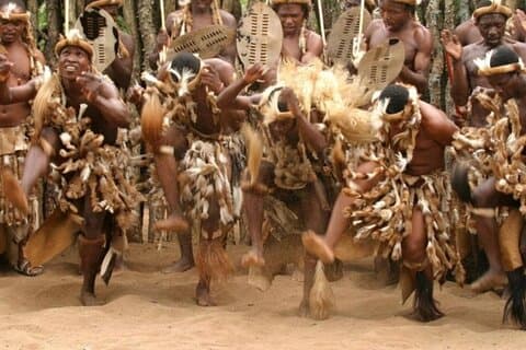 Tur till Tala Game Reserve Natal Lion Park och Phezulu Safari Park
