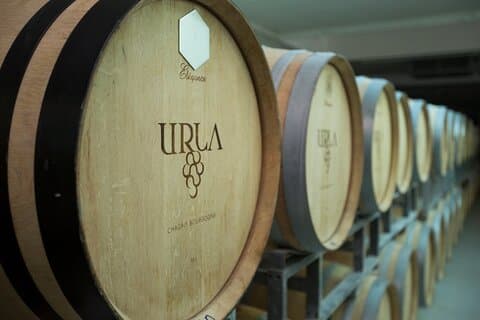 Tour privato del vino e dell'olio d'oliva di Urla da Smirne