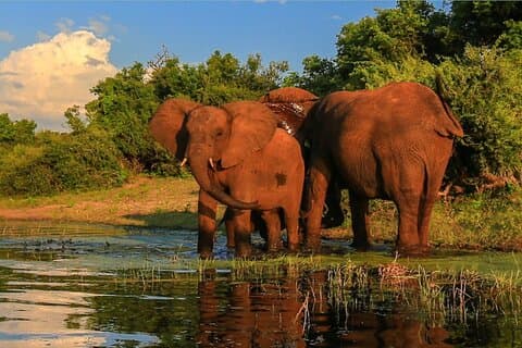 15-dages rundvisning i Johannesburg til Cape Town og Garden Route