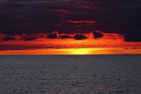 Sunset Snorkeling