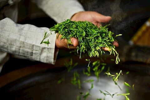 Tour dell'autentica cultura del tè di Hangzhou Longjing