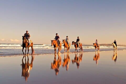 Beach Horse Ride - Hotel Pickup & drop-off inbegrepen. KAAPSTAD