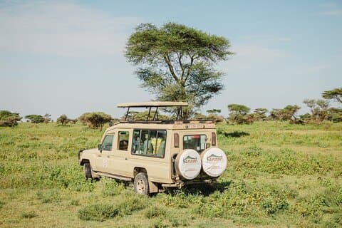 Encuentro privado de 4 días con la vida silvestre en Tanzania