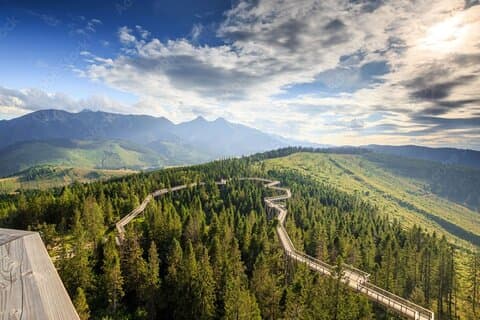 Dunajec River Gorge Rafting et Tree Top Promenade de Cracovie