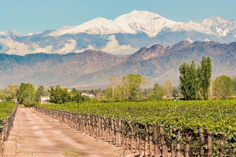 4 - Día Mendoza : Vino, Cocina & Andes Majestad