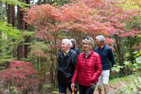 Rere Falls & Eastwoodhill Arboretum Tour with Refreshments